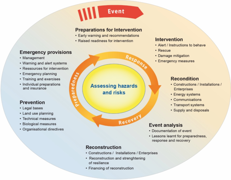 Disaster Resilience: Key to Surviving Hurricanes in Florida